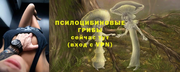 спайс Корсаков